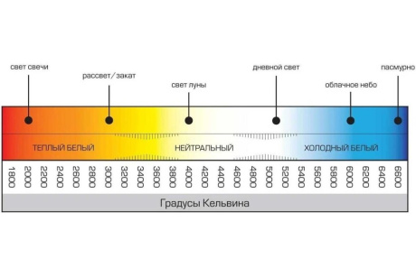 Купить Светильник  PL121 60W 230V E27 черное золото на стену  FERON фото №3